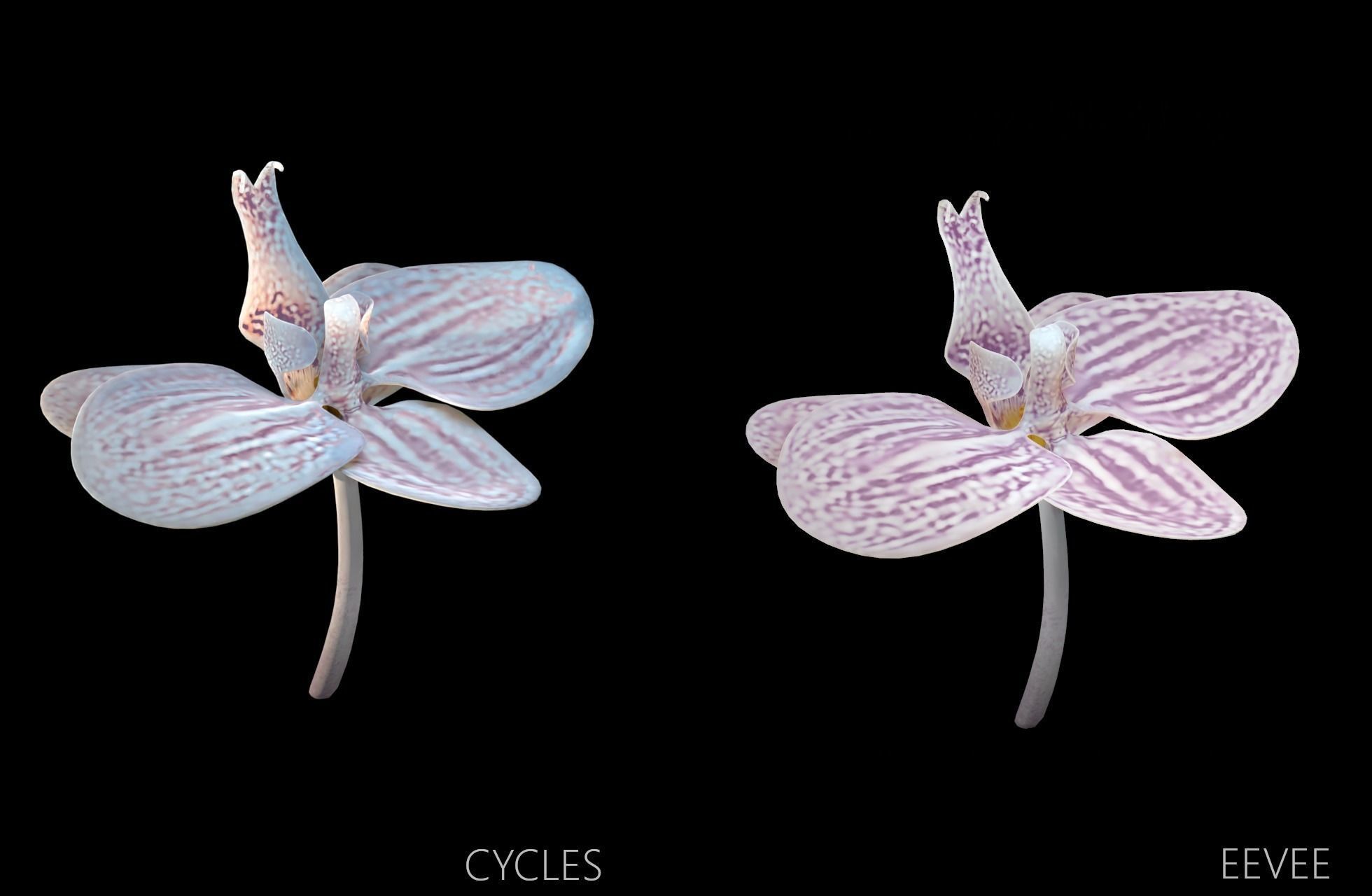 Moth Orchids - Phalaenopsis Low-poly 3D model_7