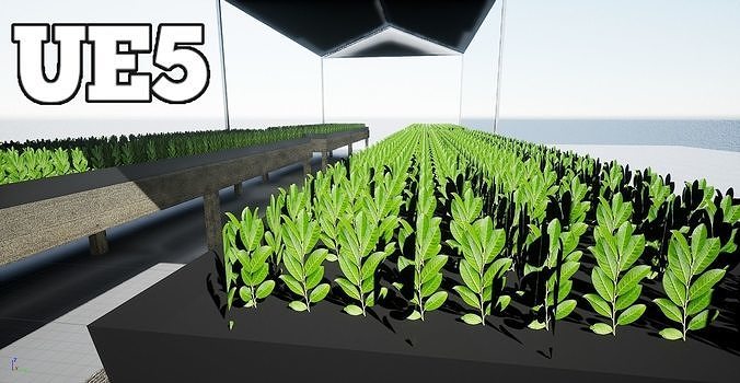 Greenhouse PBR Lowpoly hydroponic system Low-poly 3D model