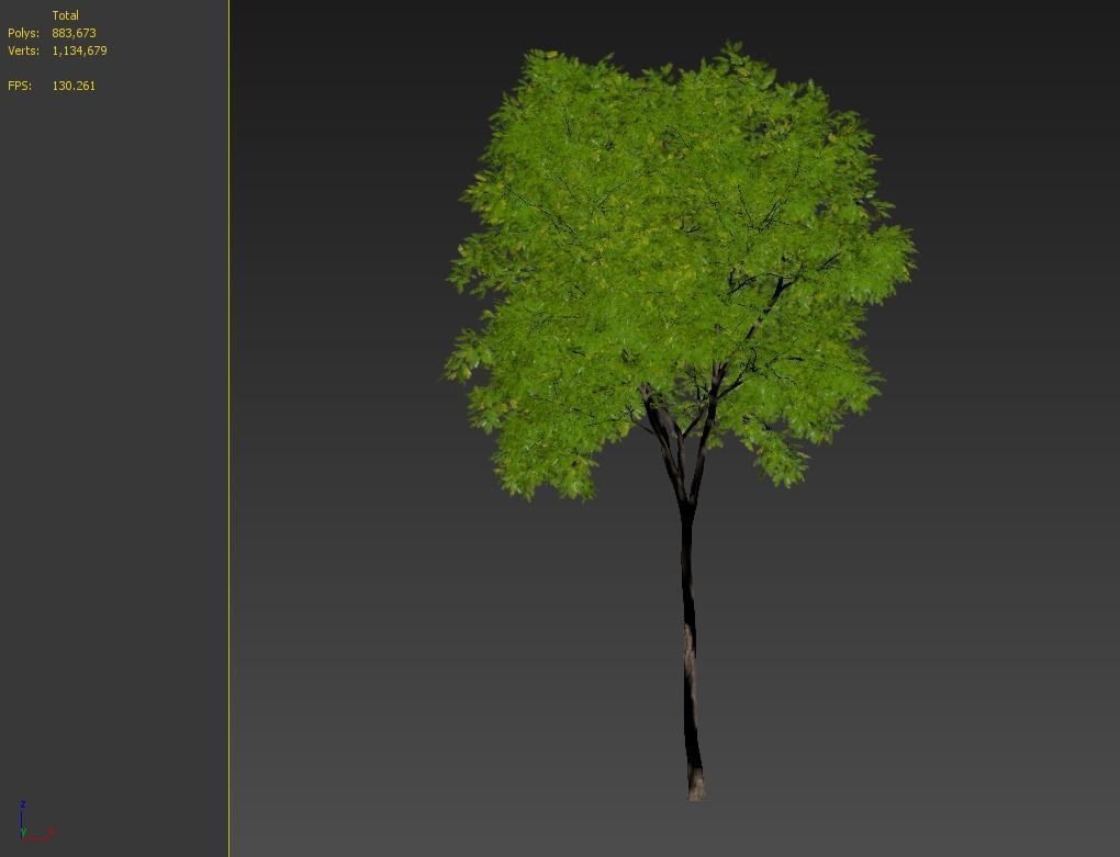 Dynasty chinese elm 3D model_7