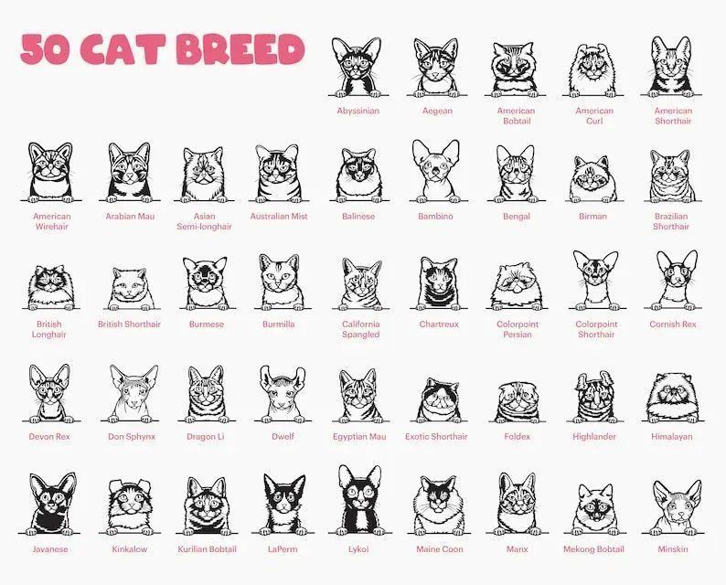 50 Cat Peeking SVG Vector Designs for Laser Cut 3D model_2