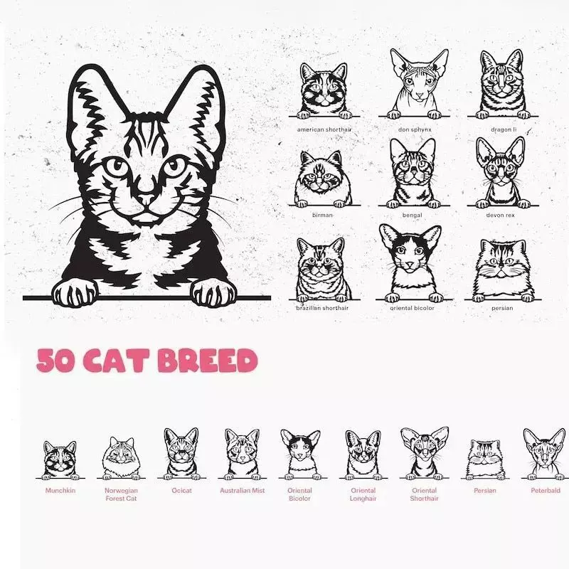 50 Cat Peeking SVG Vector Designs for Laser Cut 3D model_0