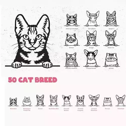 50 Cat Peeking SVG Vector Designs for Laser Cut 