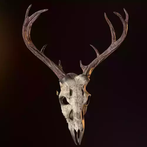 Deer Skull Mask Low-poly 3D model