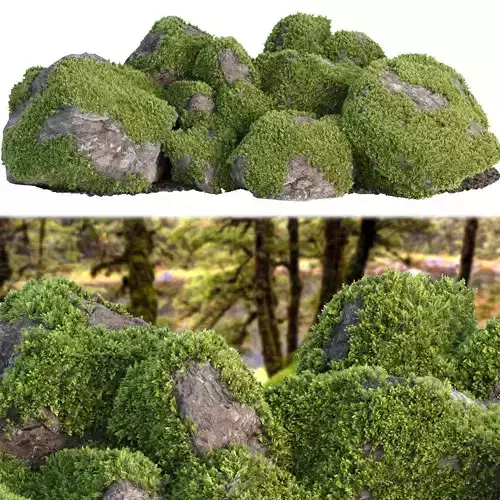 Mossy rocks garden collection vol 140