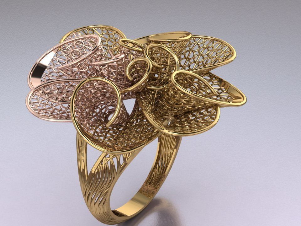 Attractive filigree design ring 3D print model_1