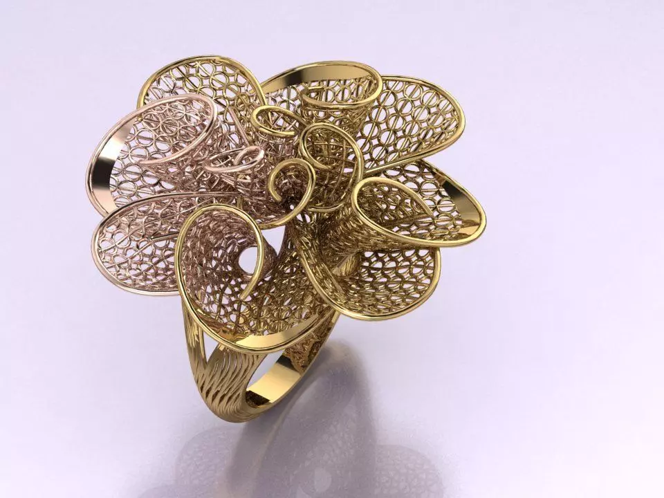 Attractive filigree design ring 3D print model_0