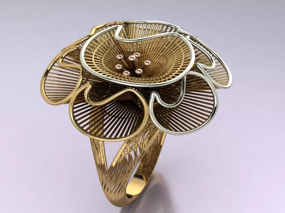 Elegant Filigree Ring 3D print model_0