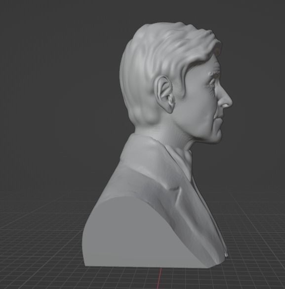 Ellen DeGeneres 3D print model_4