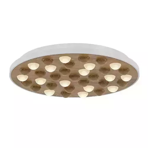 PIE CEILING 3D model