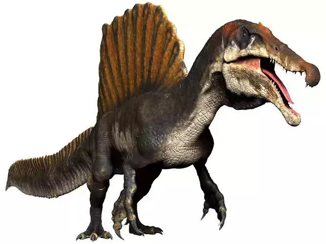 Spinosaurus 2020 Sculpt Project 3D model