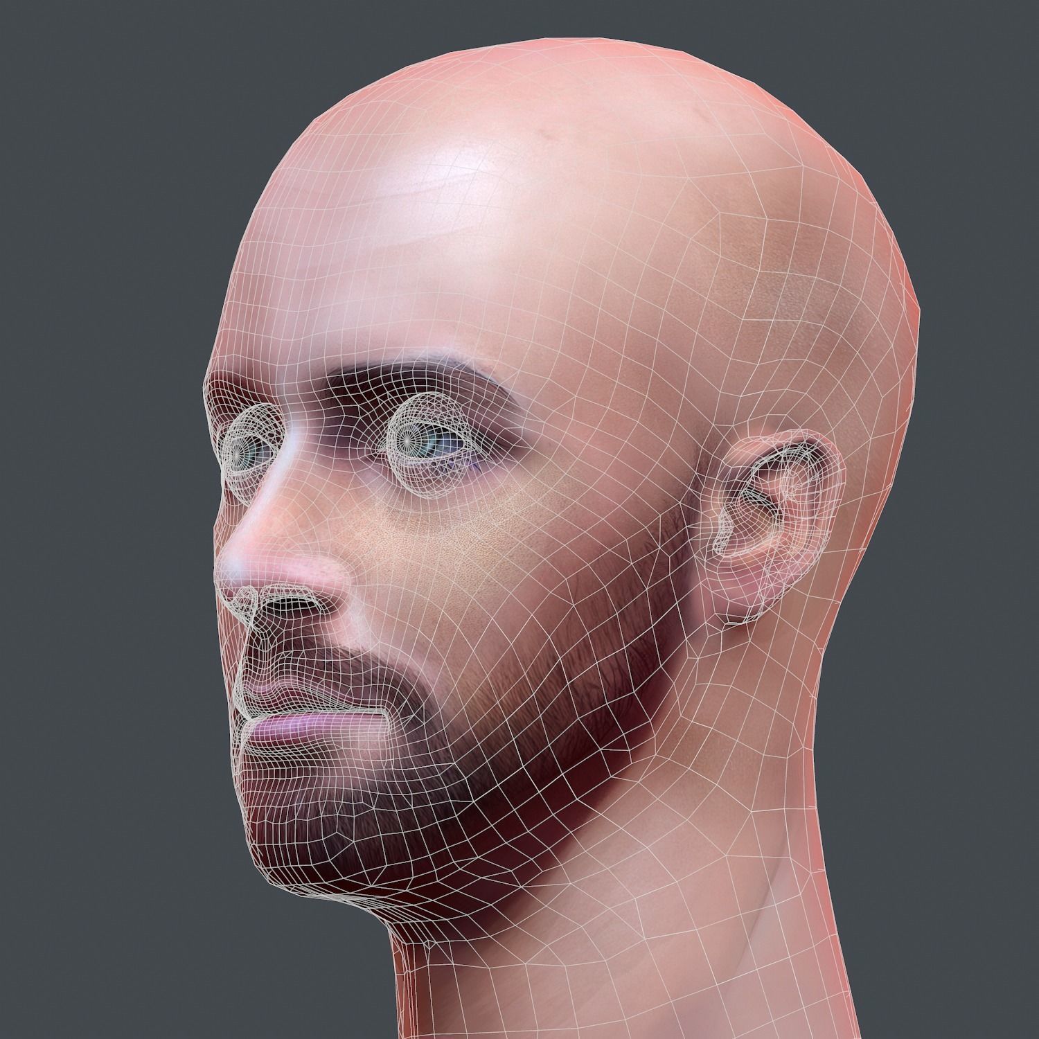Male head Realistic Perfect Head Low-poly 3D model game ready Low-poly 3D model_13
