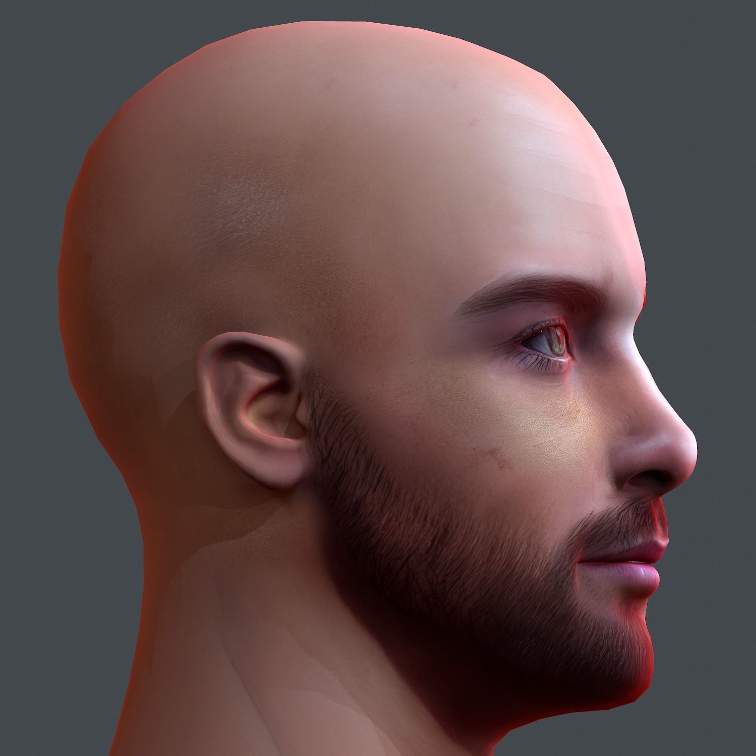 Male head Realistic Perfect Head Low-poly 3D model game ready Low-poly 3D model_8