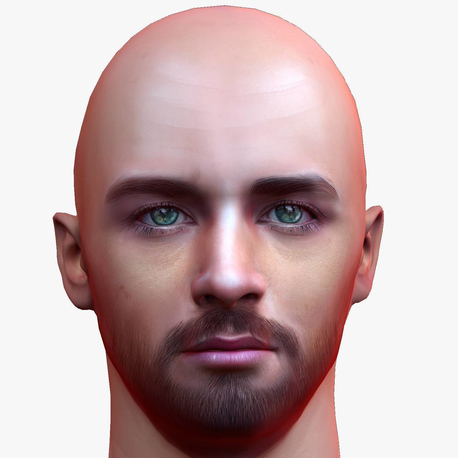 Male head Realistic Perfect Head Low-poly 3D model game ready Low-poly 3D model_3