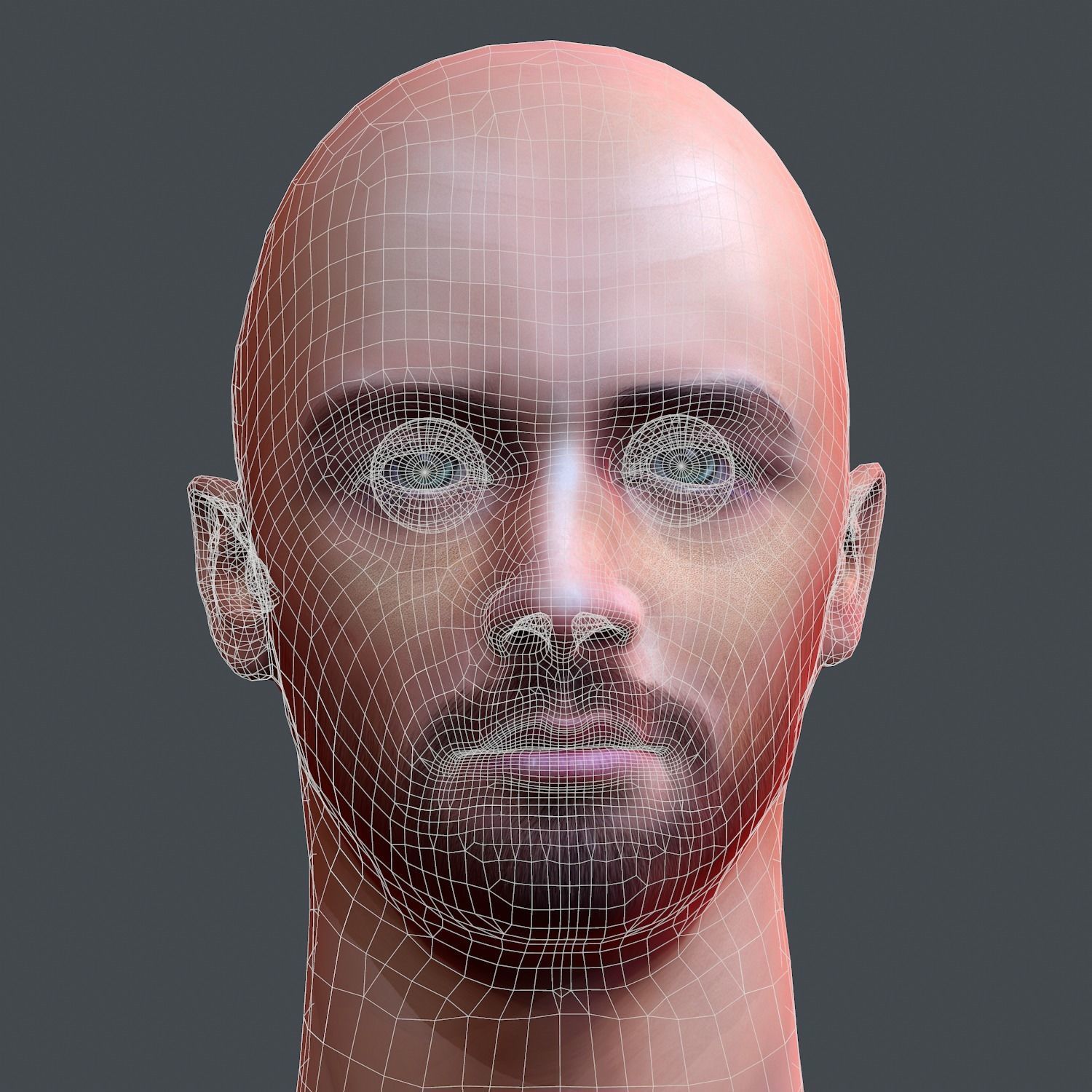 Male head Realistic Perfect Head Low-poly 3D model game ready Low-poly 3D model_12