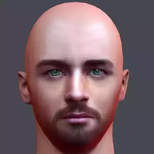 Male head Realistic Perfect Head Low-poly 3D model game ready