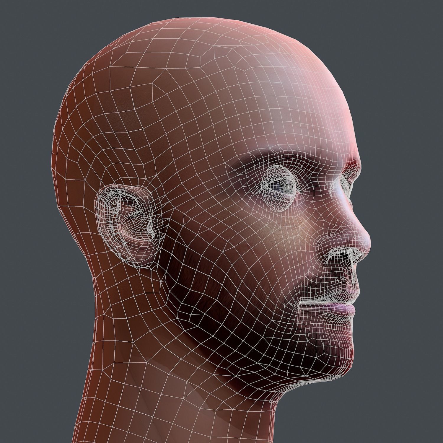 Male head Realistic Perfect Head Low-poly 3D model game ready Low-poly 3D model_14