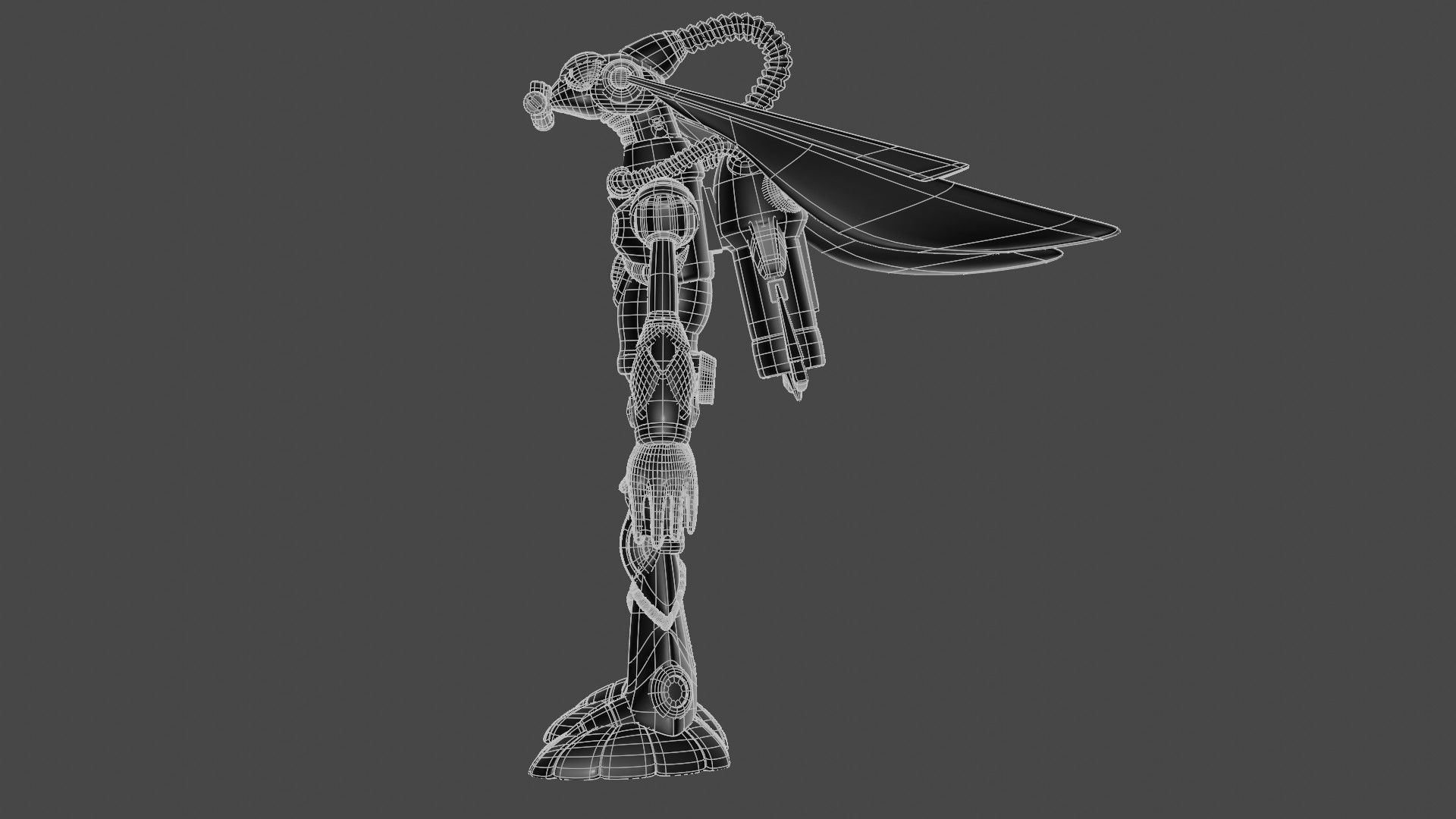 Splash Warfly 3D model_12