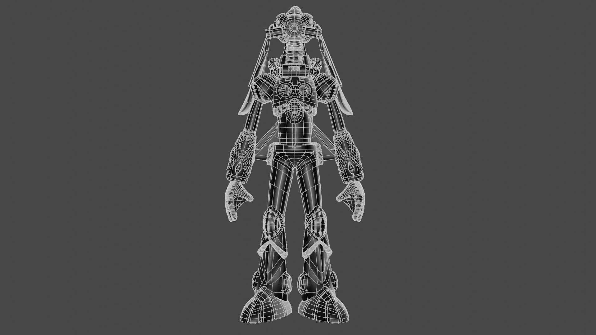 Splash Warfly 3D model_11