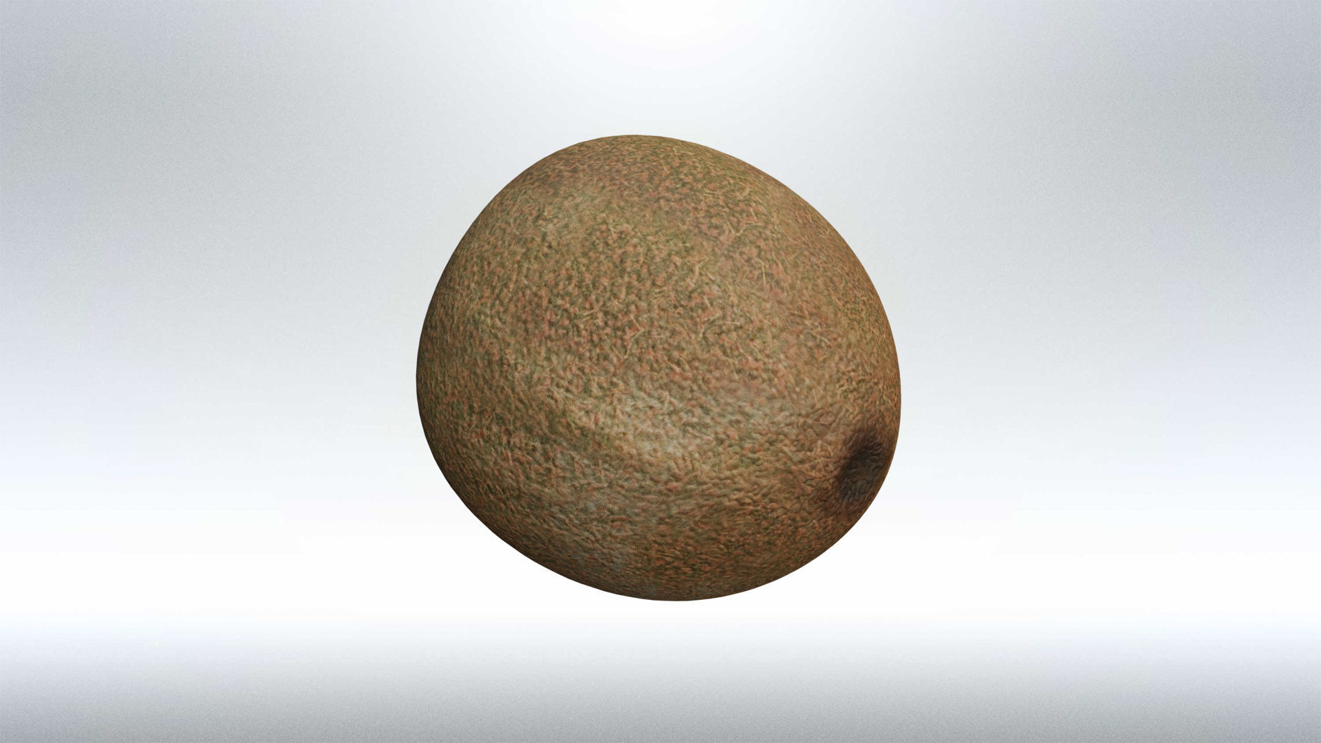 Kiwi fruit Low-poly 3D model_3