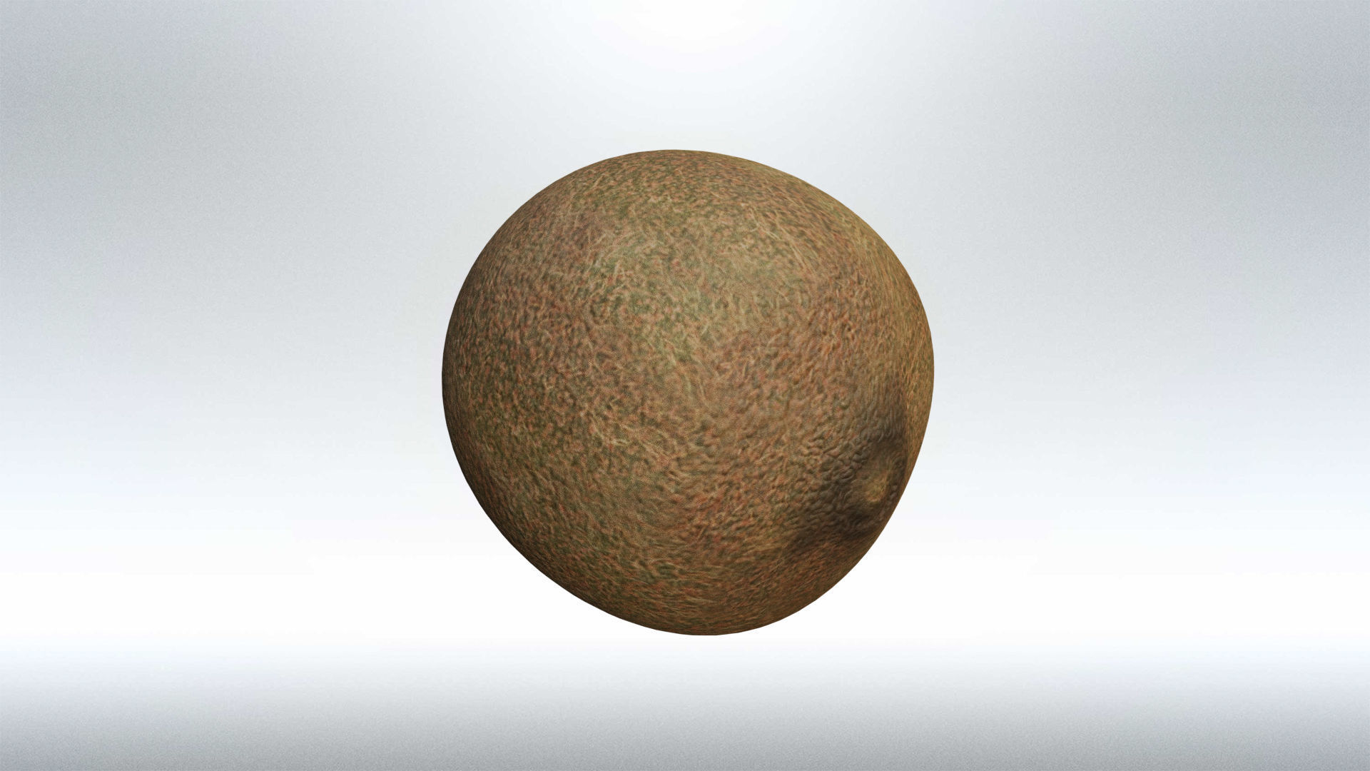 Kiwi fruit Low-poly 3D model_2