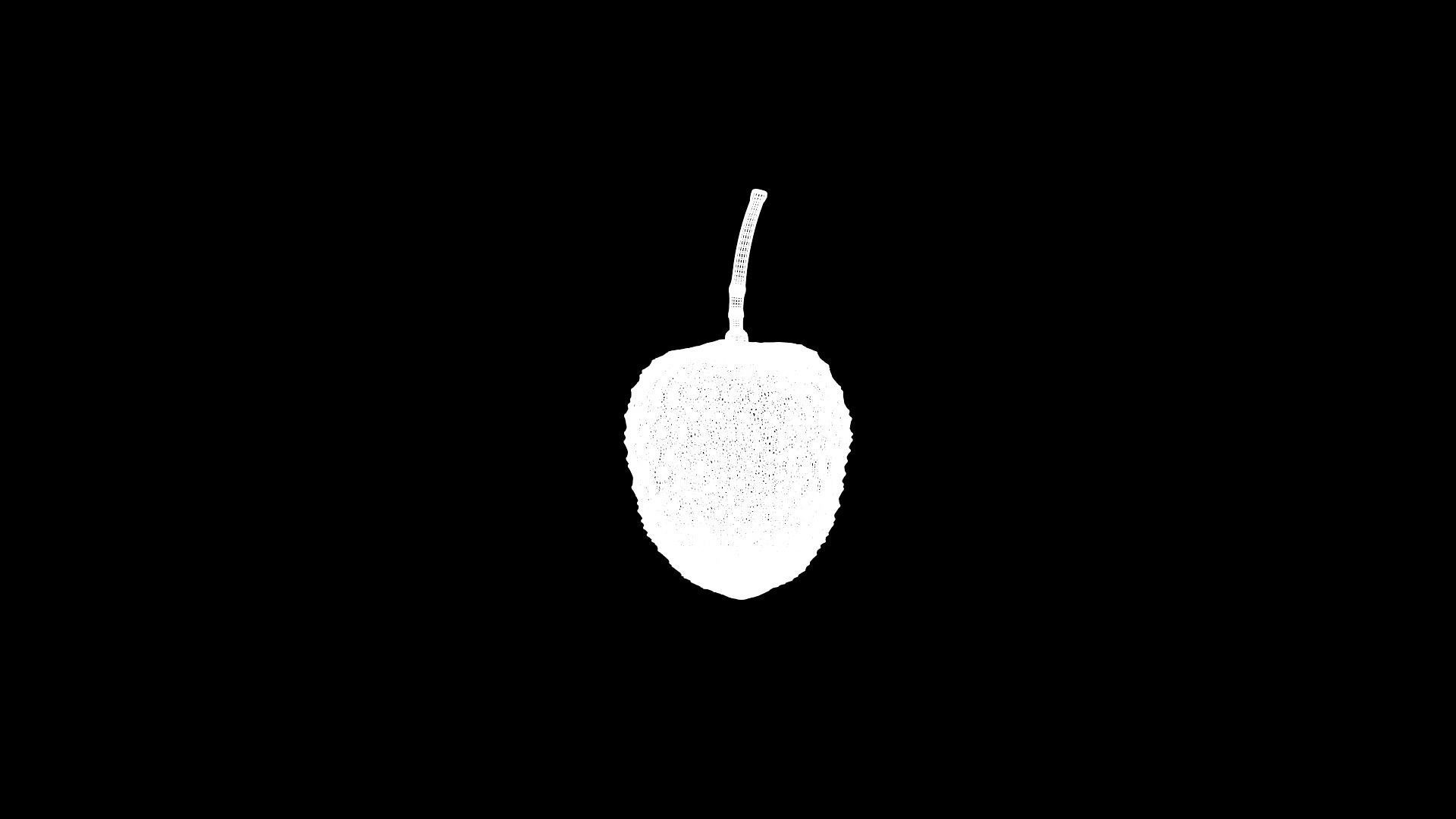 Lychee fruit Low-poly 3D model_5