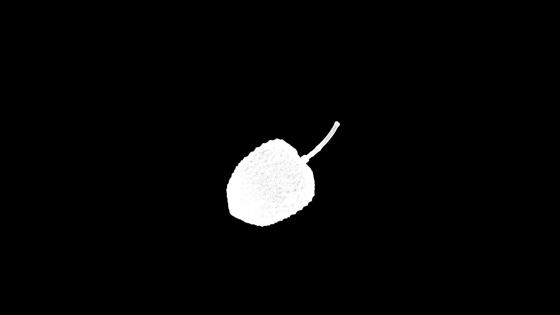 Lychee fruit Low-poly 3D model_9