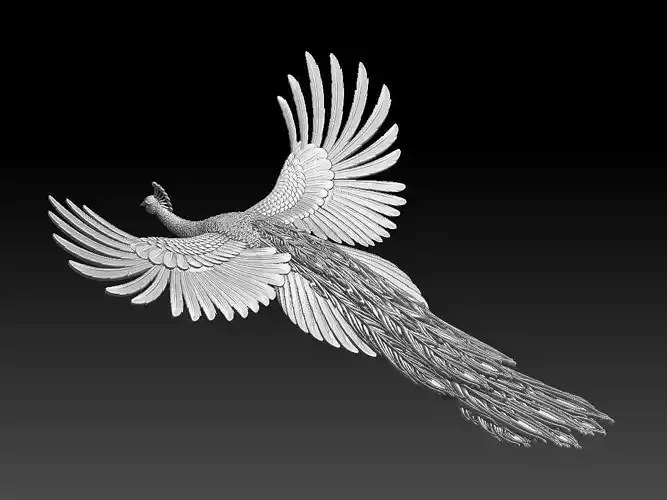 peacock flying in air 3D print model