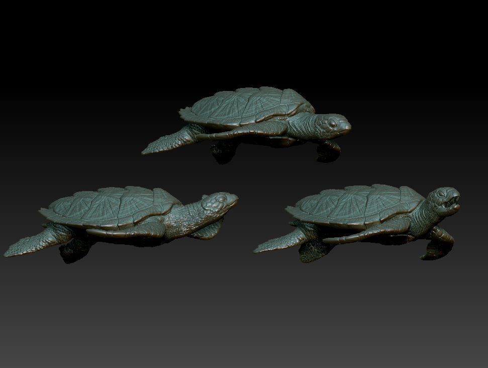 Sea Turtle  3 models 3D print model_1