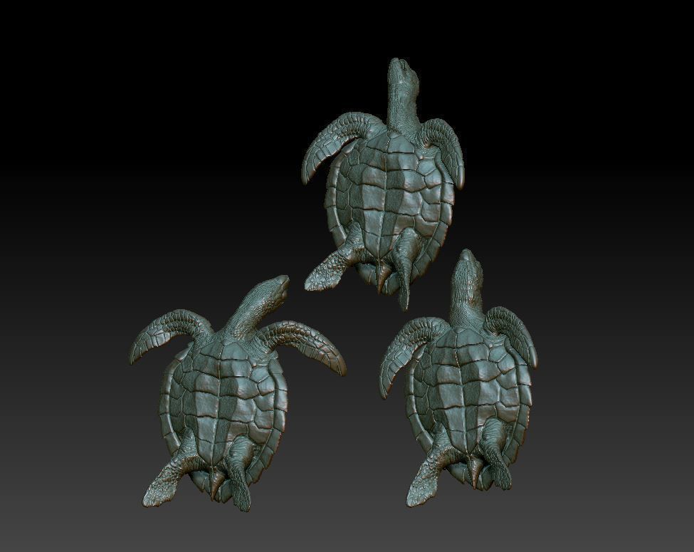 Sea Turtle  3 models 3D print model_2