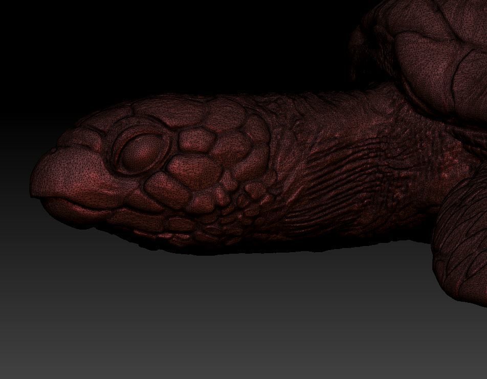 Sea Turtle  3 models 3D print model_11