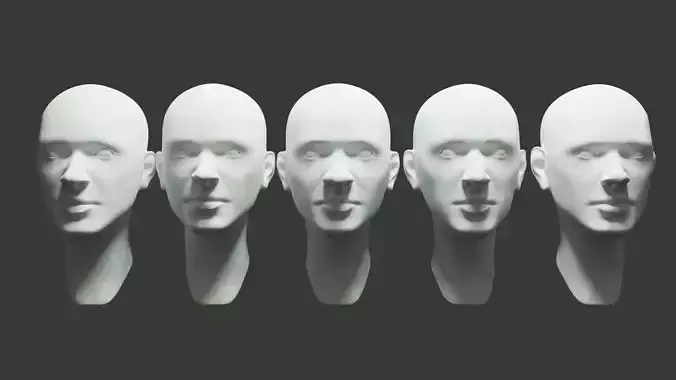 Basemesh Female Head 3D model