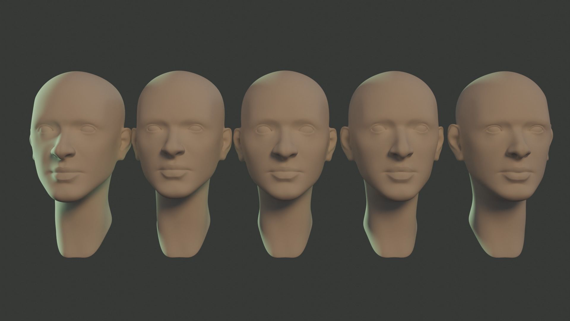 Basemesh Female Head 3D model_3