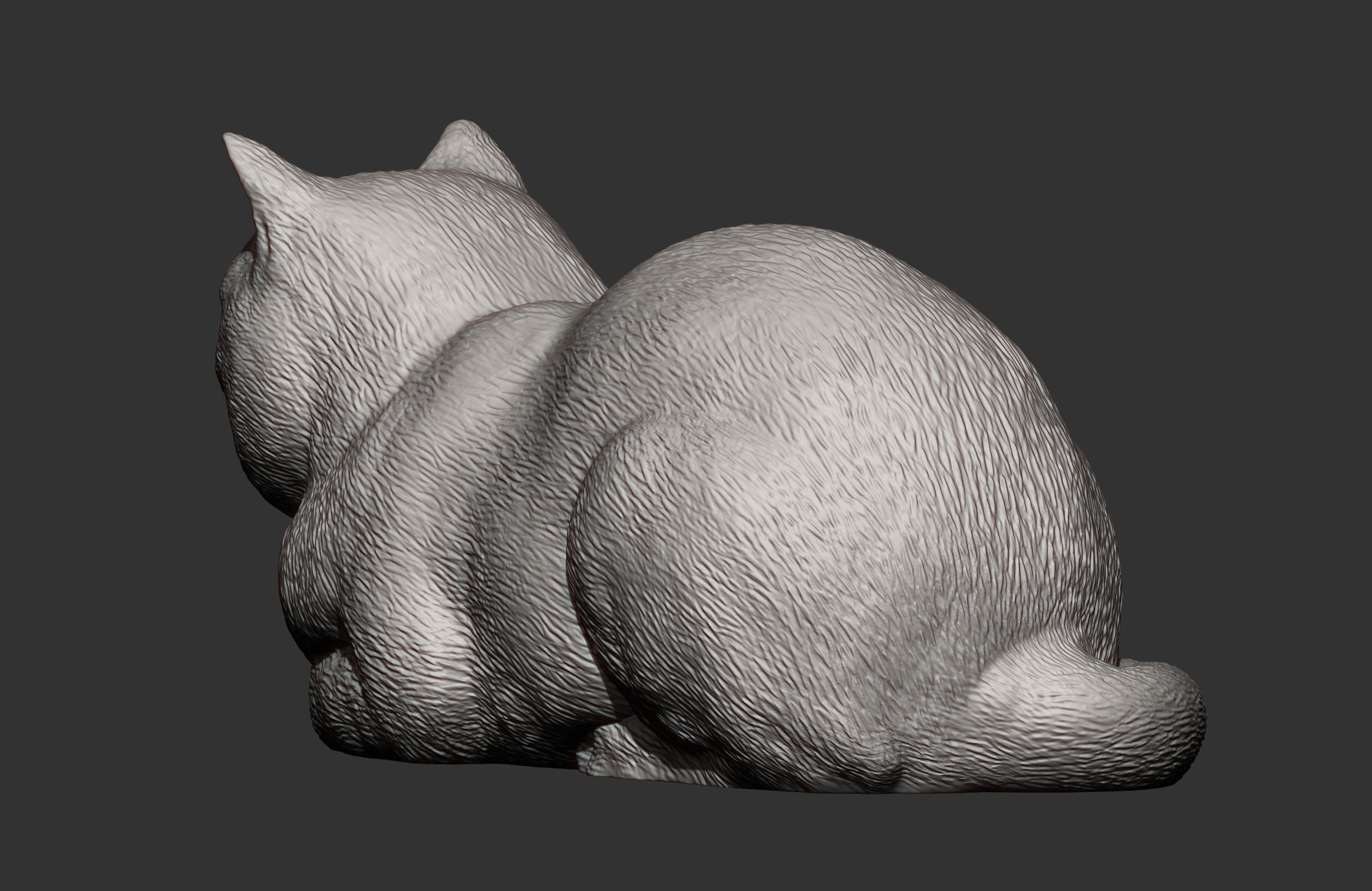 british shorthair cat 3D print model_7