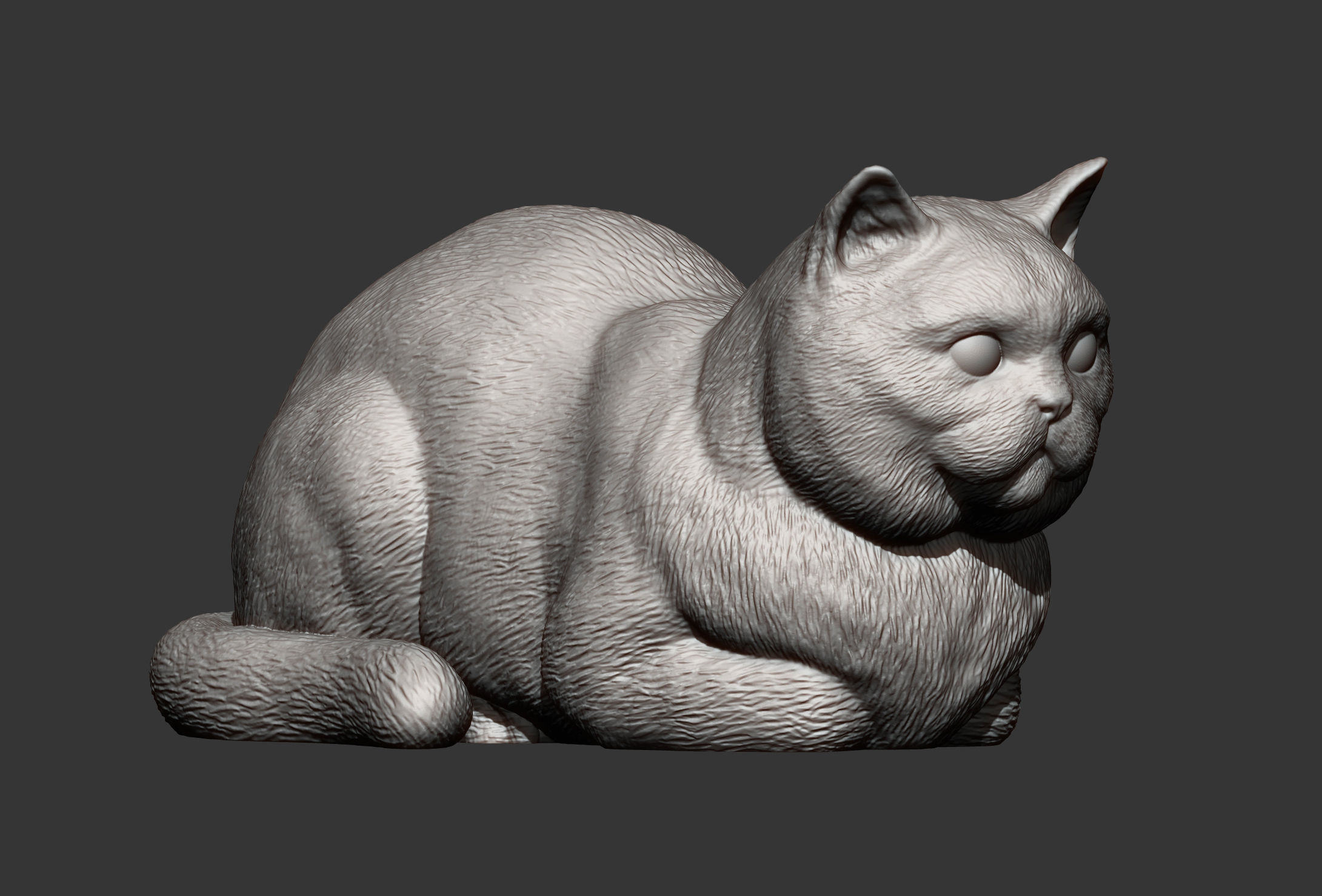 british shorthair cat 3D print model_5