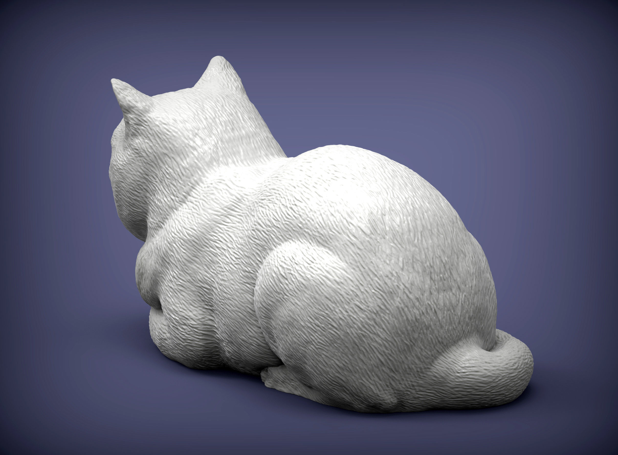 british shorthair cat 3D print model_4