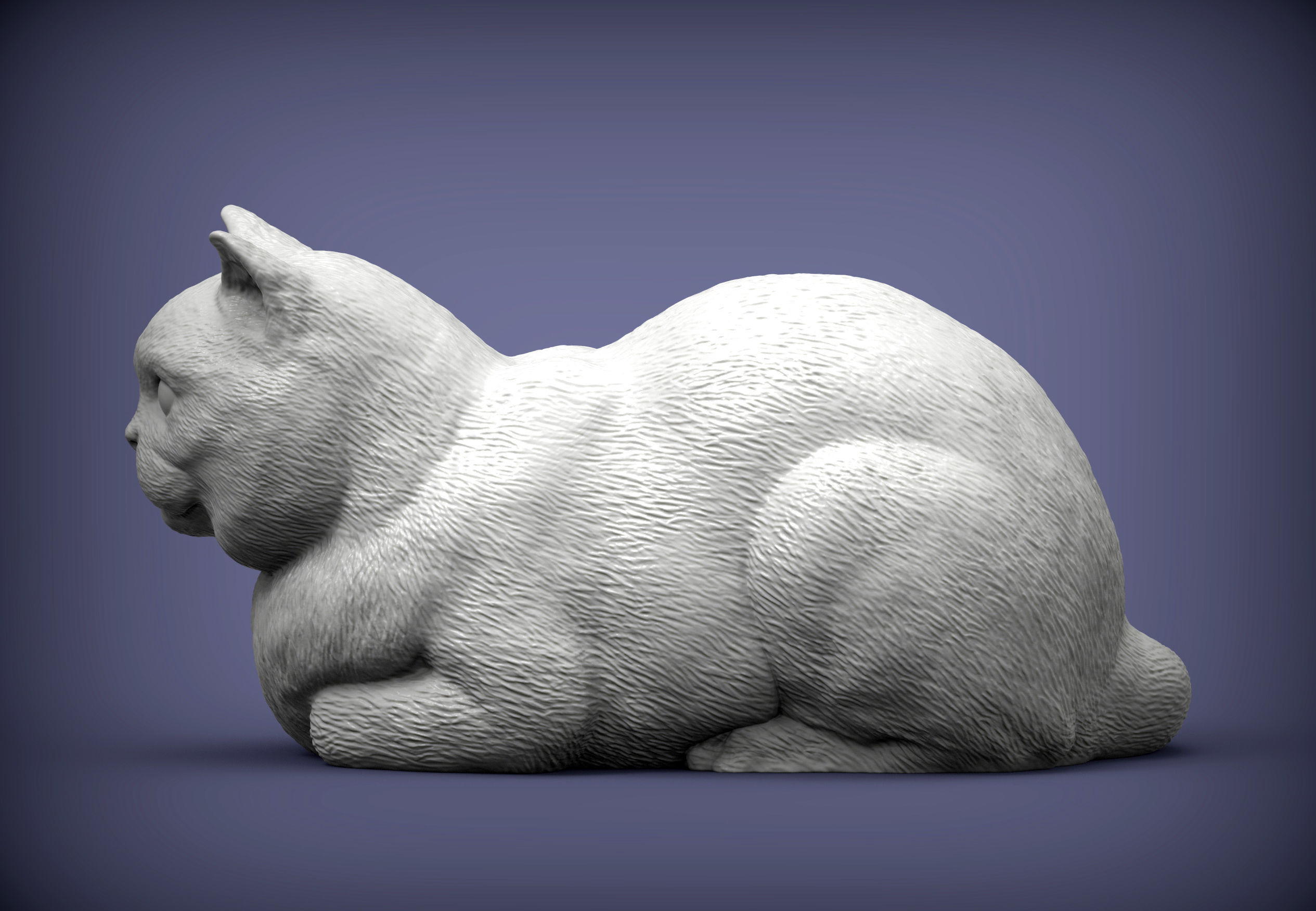 british shorthair cat 3D print model_1