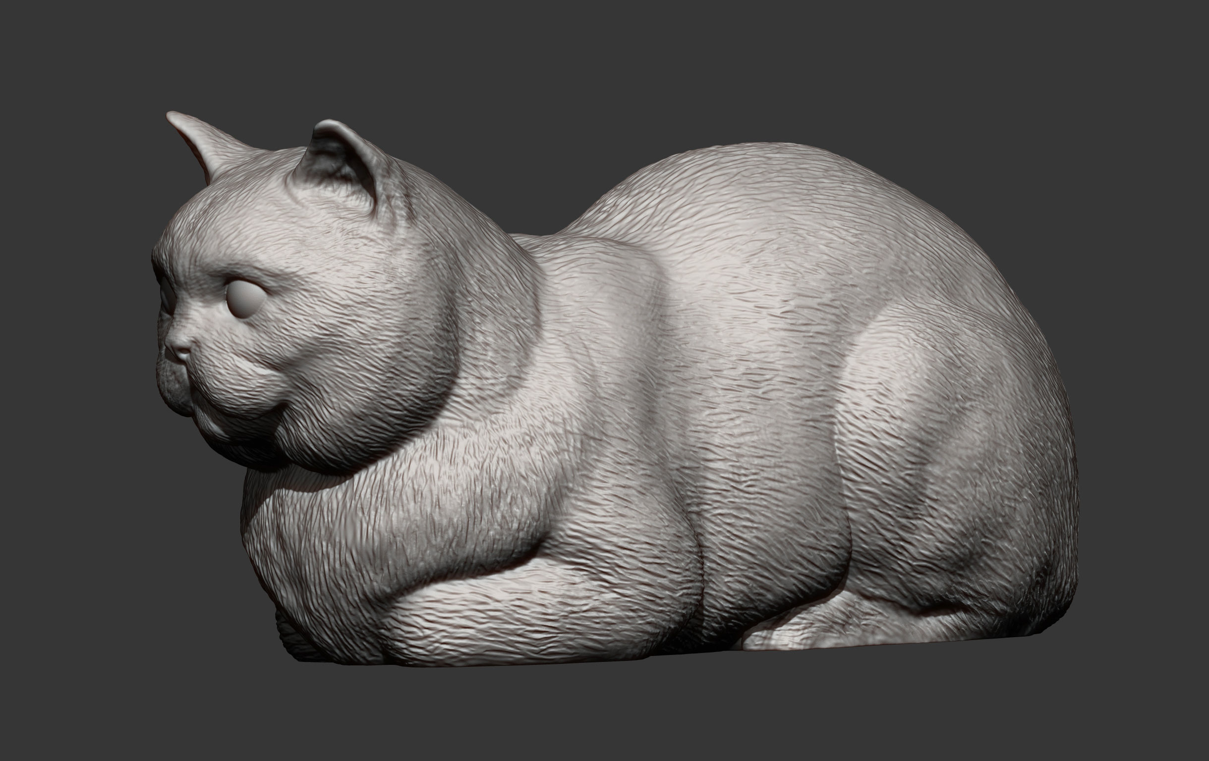 british shorthair cat 3D print model_6