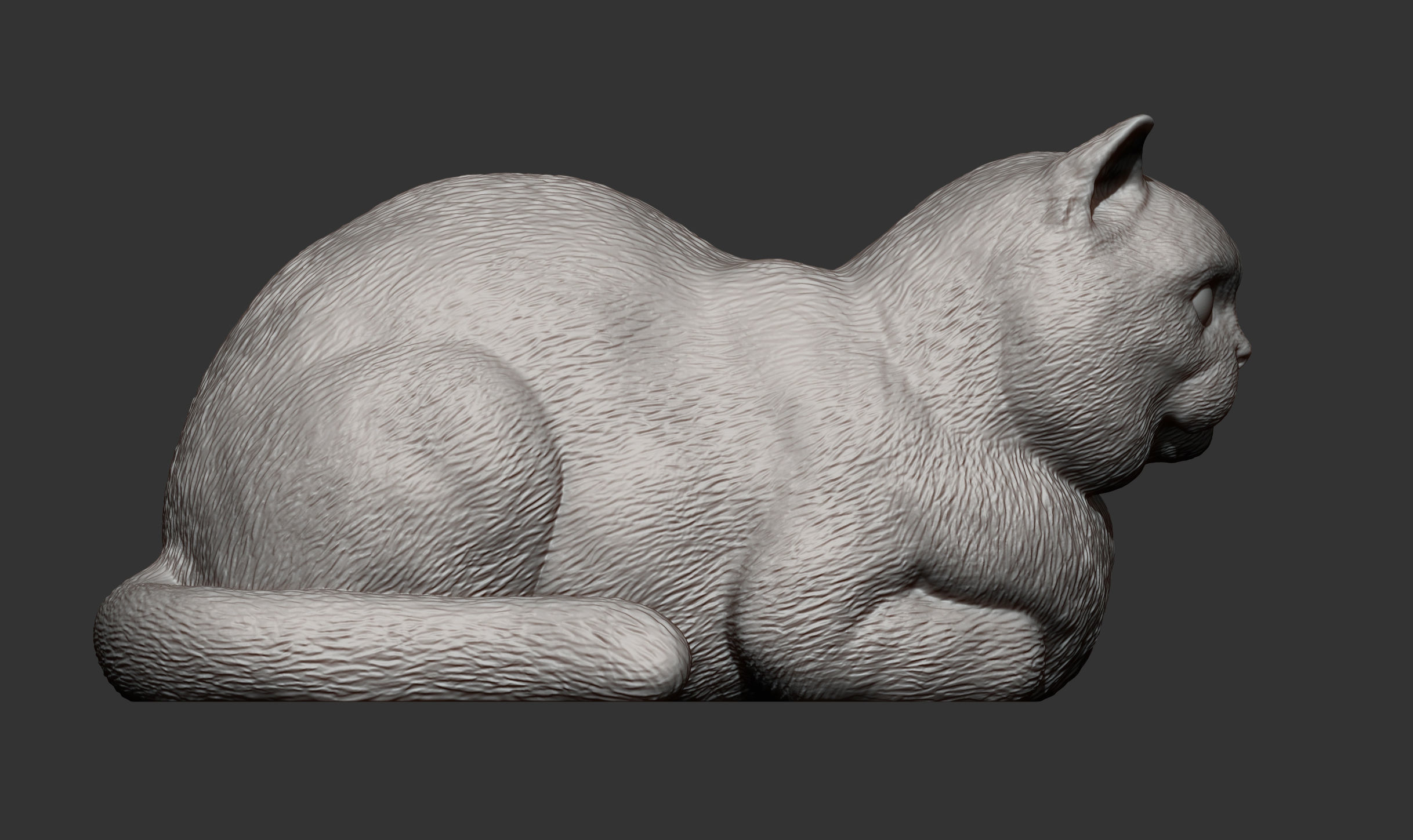 british shorthair cat 3D print model_8