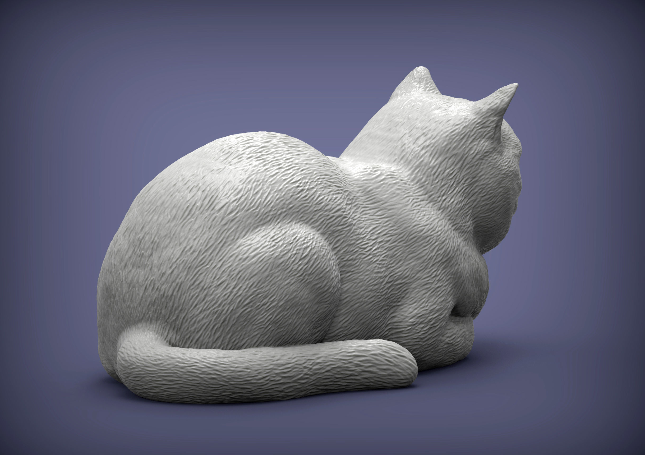 british shorthair cat 3D print model_2