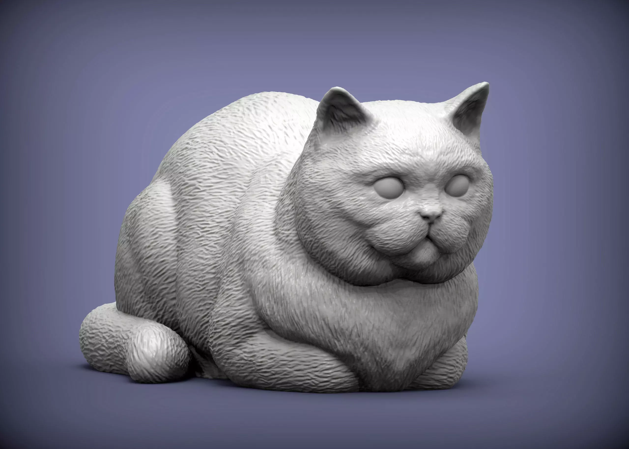 british shorthair cat 3D print model_0