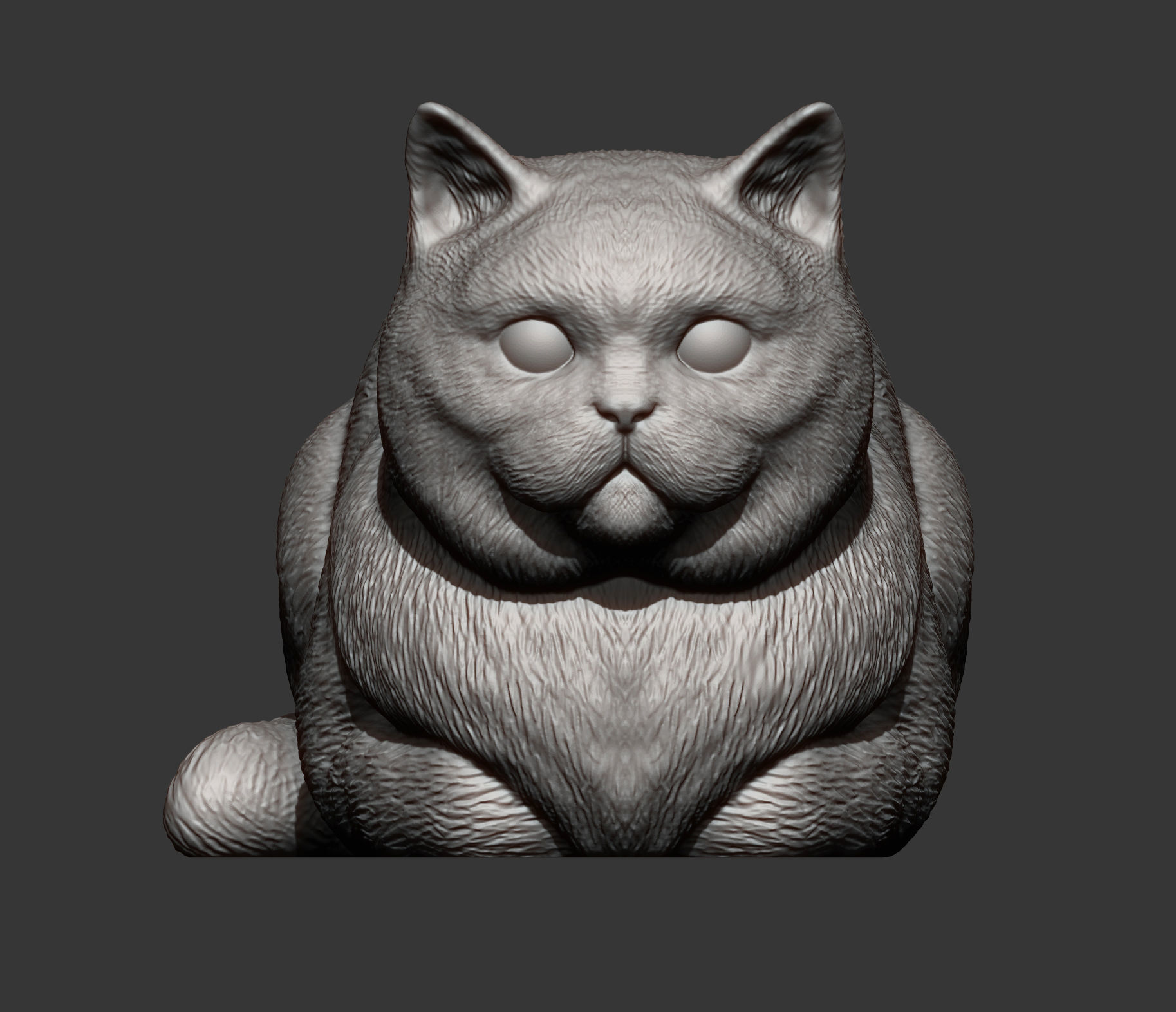 british shorthair cat 3D print model_9
