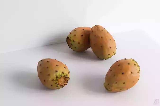 Opuntia Prickly Pear Cactus Fruit