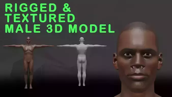 Textured and Rigged Male Base Model Low-poly 3D model