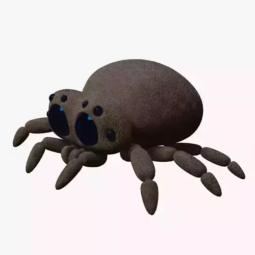 Spider with eyes