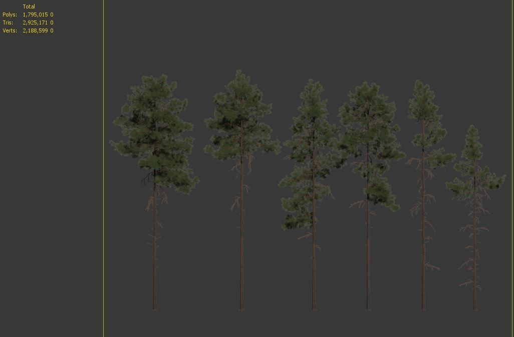Pinus sylvestris 04 3D model_7