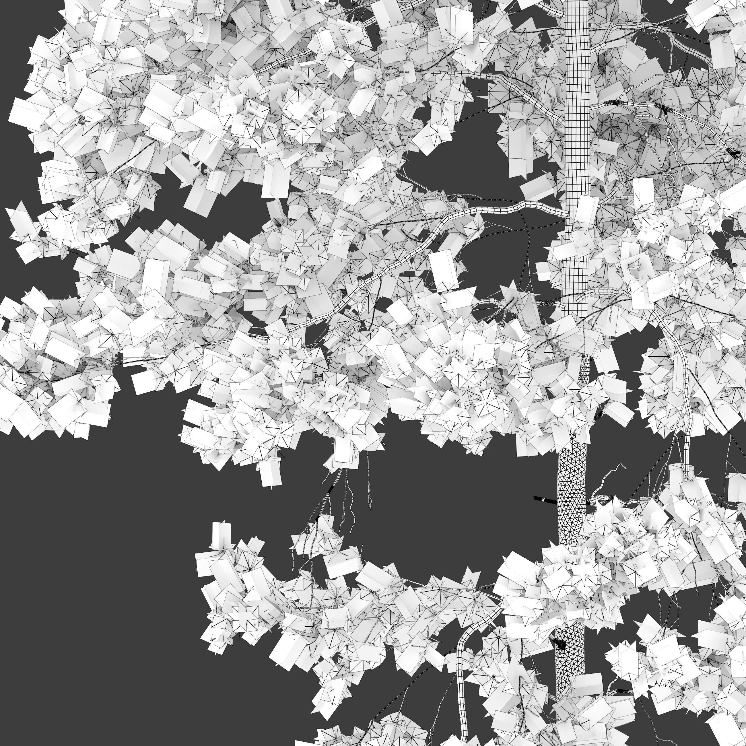 Pinus sylvestris 04 3D model_6