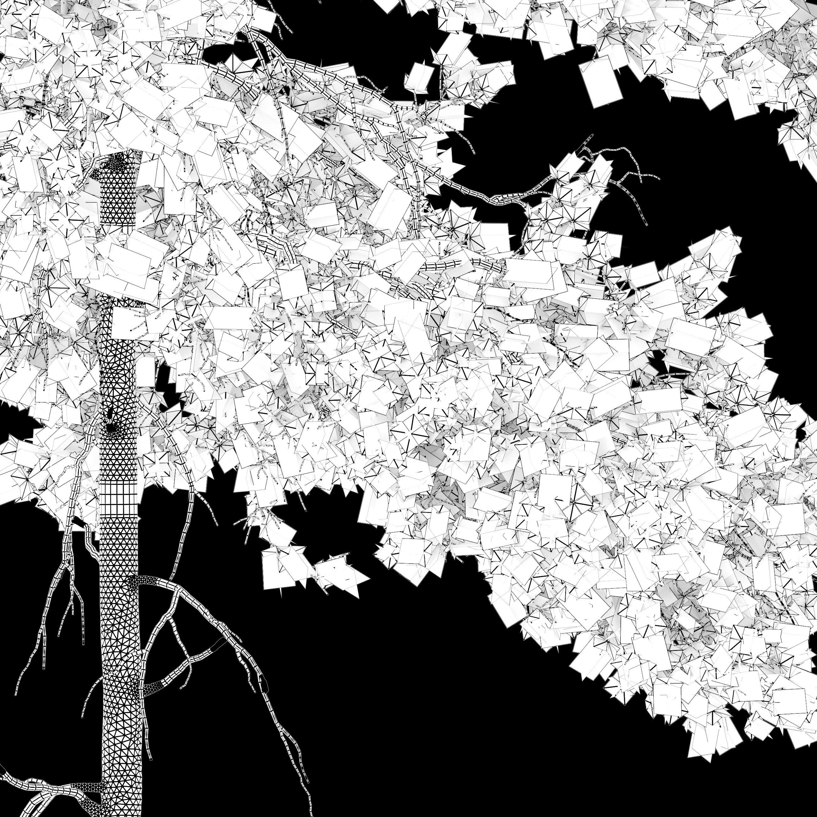 Pinus sylvestris 05 3D model_7