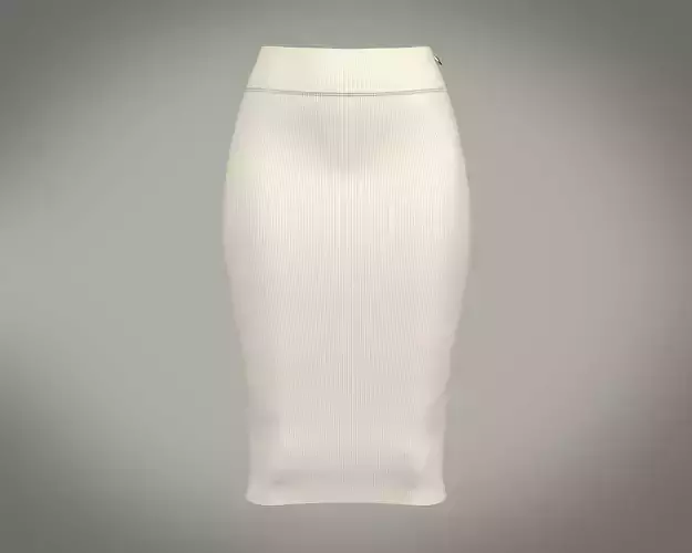 Ladies corporate skirt