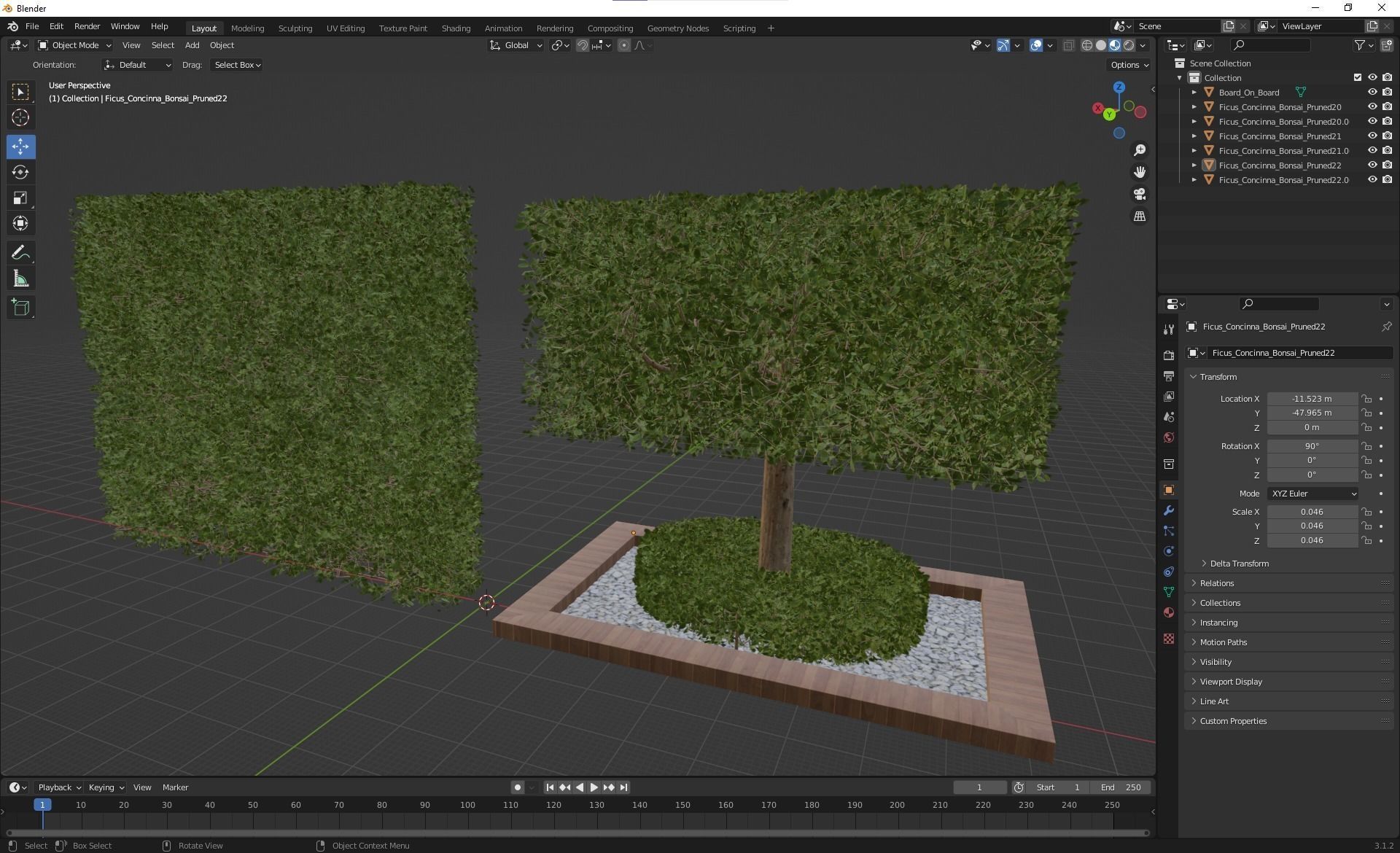 New Plant Ficus Concinna Bonsai Pruned11 3D model_4