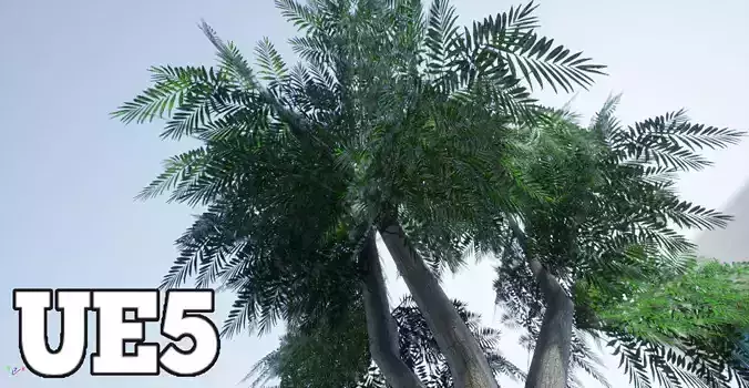 Schinus Molle - False Pepper Tree -  Aroeira Salso PBR Lowpoly Low-poly 3D model